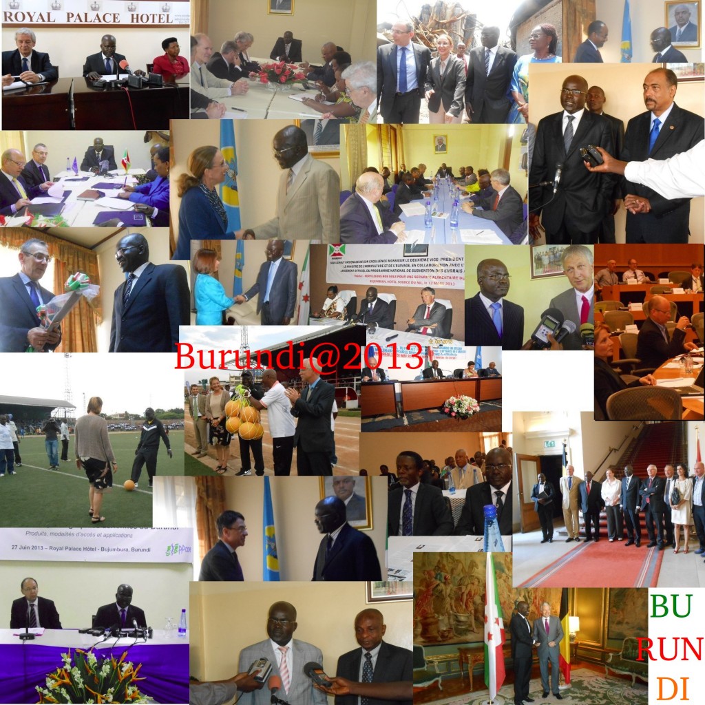 Les partenaires économiques du Burundi en 2013