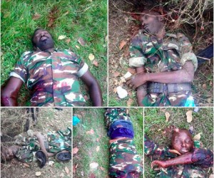 Les insurgés blessé et tués lors de l'assassinat ciblé raté  du Chef d'Etat Major FDN ( photo: Révélation Ivy  )