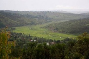 Landschaft in Burundi, zentraler Bereich  Photo:  Eva Biele - http://liportal.giz.de/burundi/ueberblick/ 