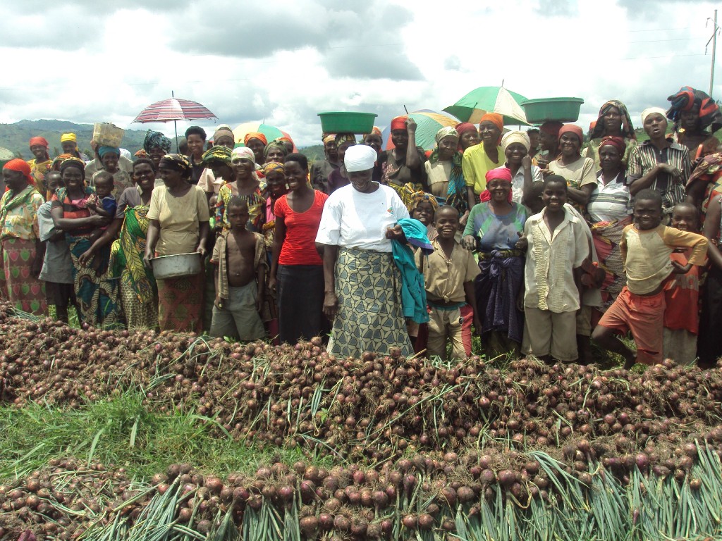 Burundi / Economie : Bururi - Analyse des Plans d’investissement annuel et des stratégies d’augmentation de la production ( Photo : dufashanyebdi)