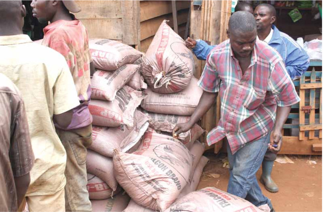 Burundi : Les importations d'engrais sont passées de 6000 à 29000 tonnes en 3 ans ( Photo : adisco.org )