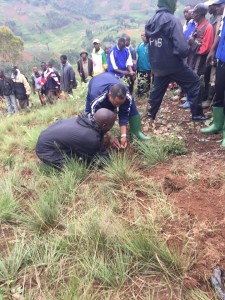 Burundi: TDC – 4400 arbres plantés sur la colline Remera à Kayanza ( 9/01/2016 - Photo: Inama nshingamateka / Assemblée Nationale du Burundi )