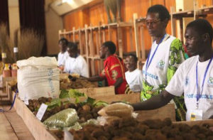 Burundi - AGENDA : Foire Agricole des agri-éleveurs de Bujumbura et de Rumonge du 21 au 23/04/2016 ( Photo : ABP - 2016 )