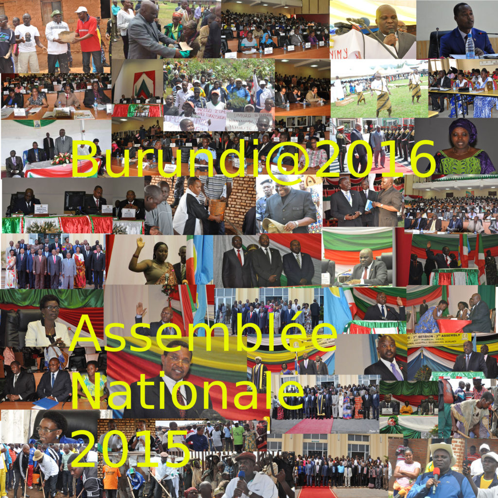 L'Assemblée Nationale 2015
