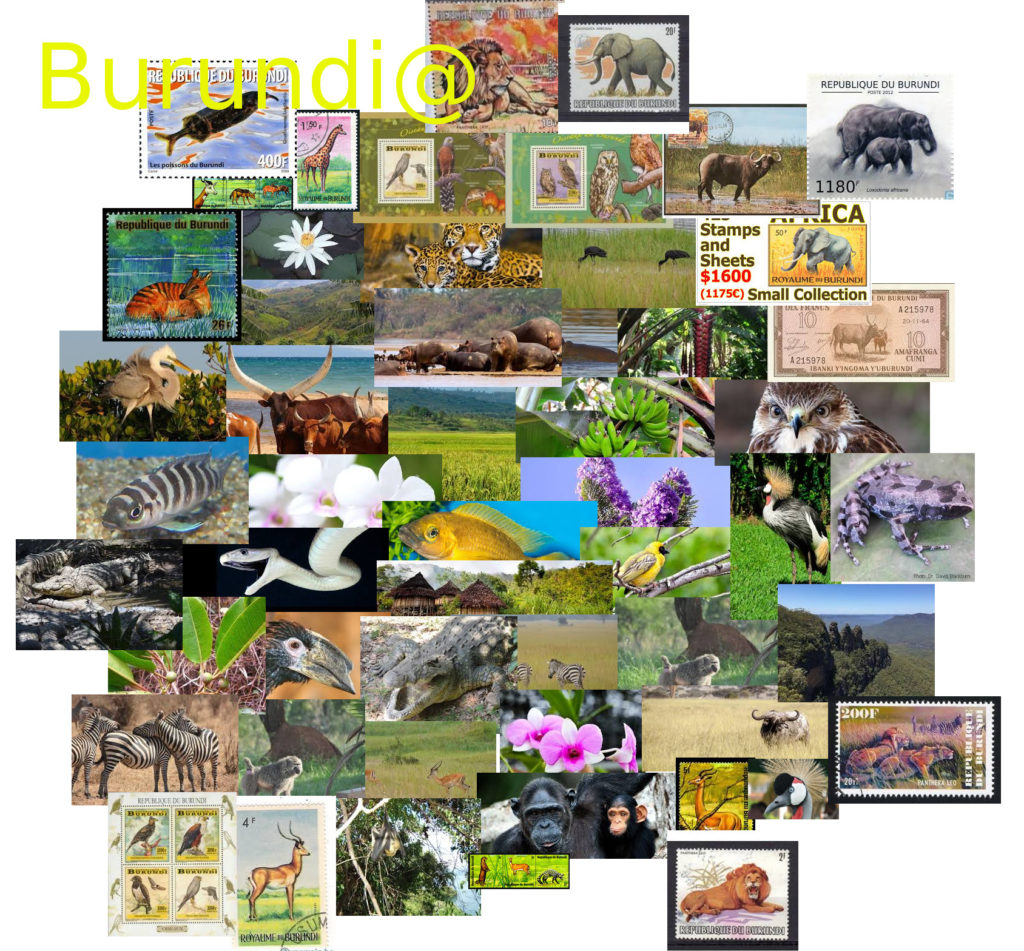 La faune et la flore au Burundi.