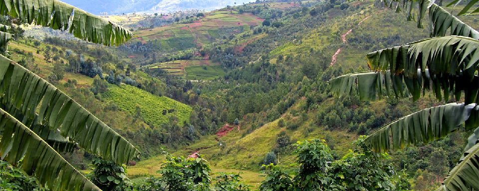 Les paysages agricoles du Burundi Photo : Christine Vaufrey