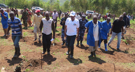Burundi : Début officiel de la campagne de mise en place des plants de café ( Photo:  Assemblee.bi  2016 )