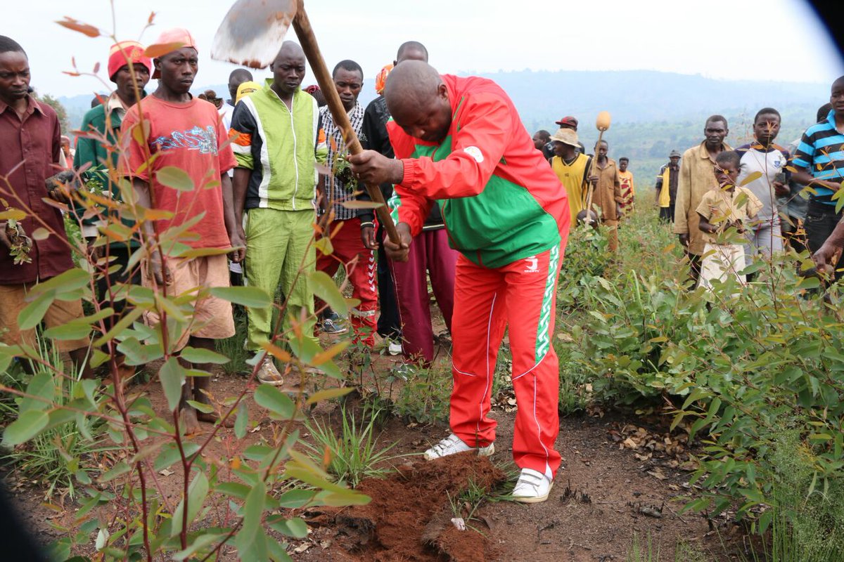 Burundi : TDC - Plantation d'arbres à GIHETA, GITEGA ( Photo : CNDD-FDD  2016 )