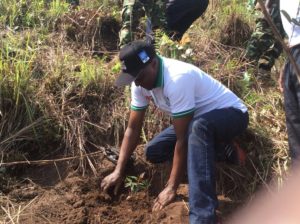 Burundi : TDC - Planter d'arbres à Rugazi, Bubanza ( Photo : Vice Présidence 2016 )