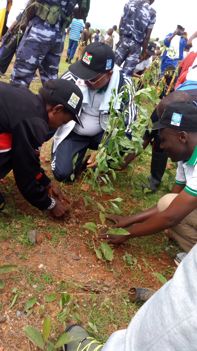Burundi : TDC - Plantation d'arbres à Kabezi, Bujumbura ( Photo : ikiriho 2016 )