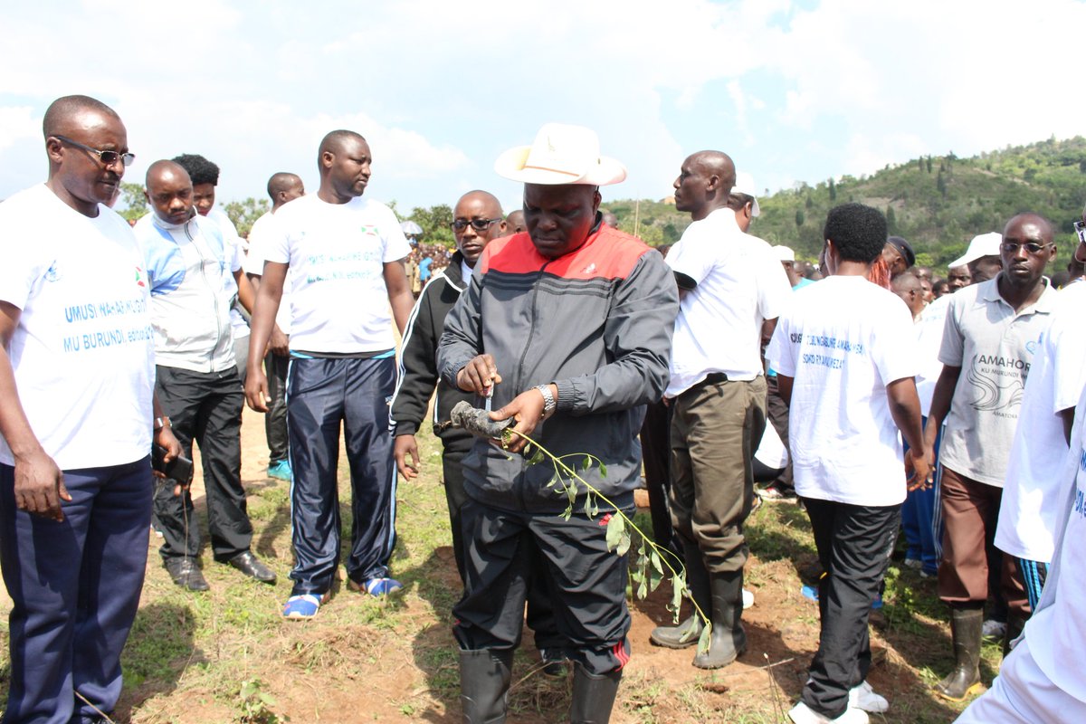 Burundi : TDC - Planter plus de 5800 arbres à Kayove, Rutana ( Photo : Assemblée Nationale  2016 )