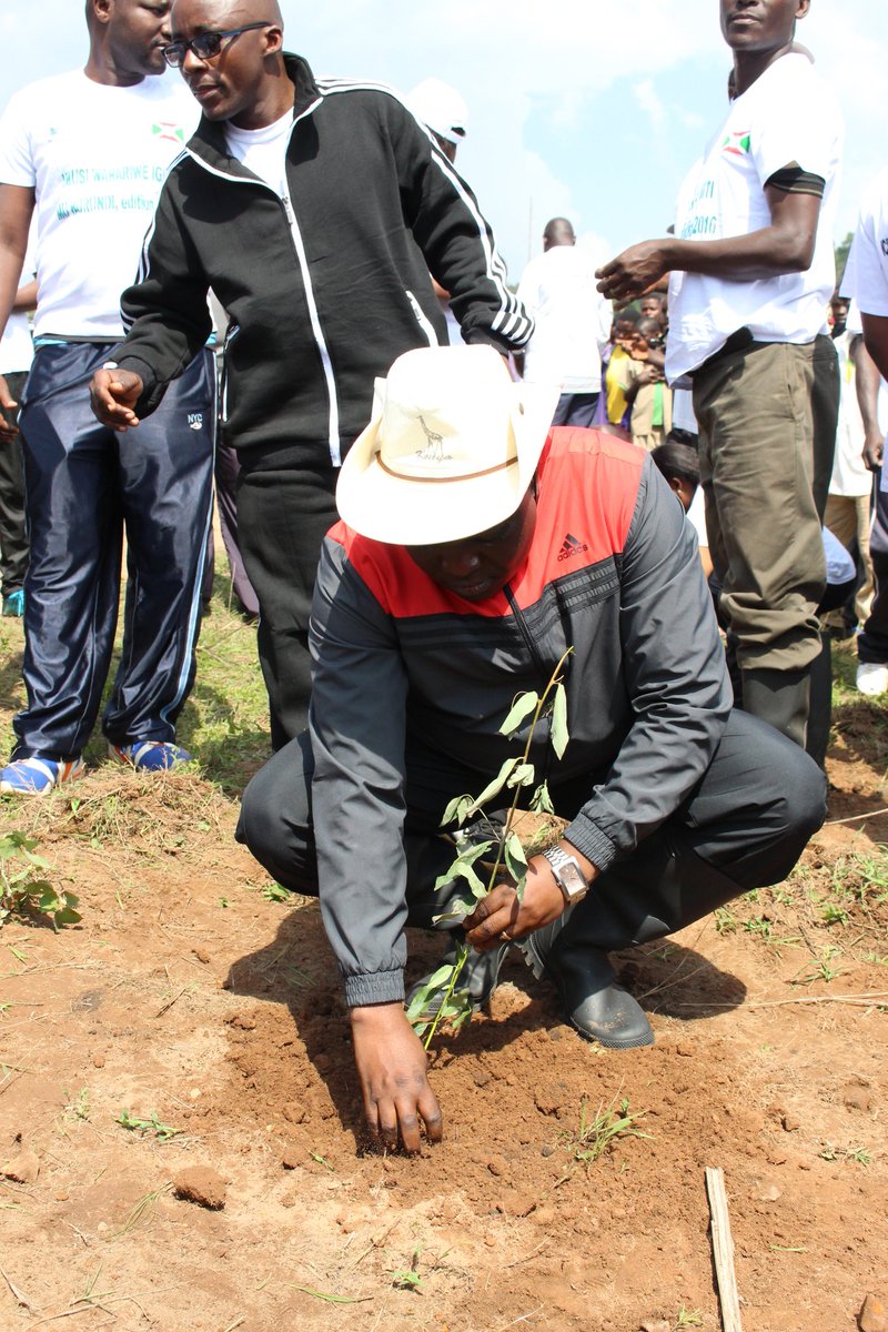 Burundi : TDC - Planter plus de 5800 arbres à Kayove, Rutana ( Photo : Assemblée Nationale  2016 )