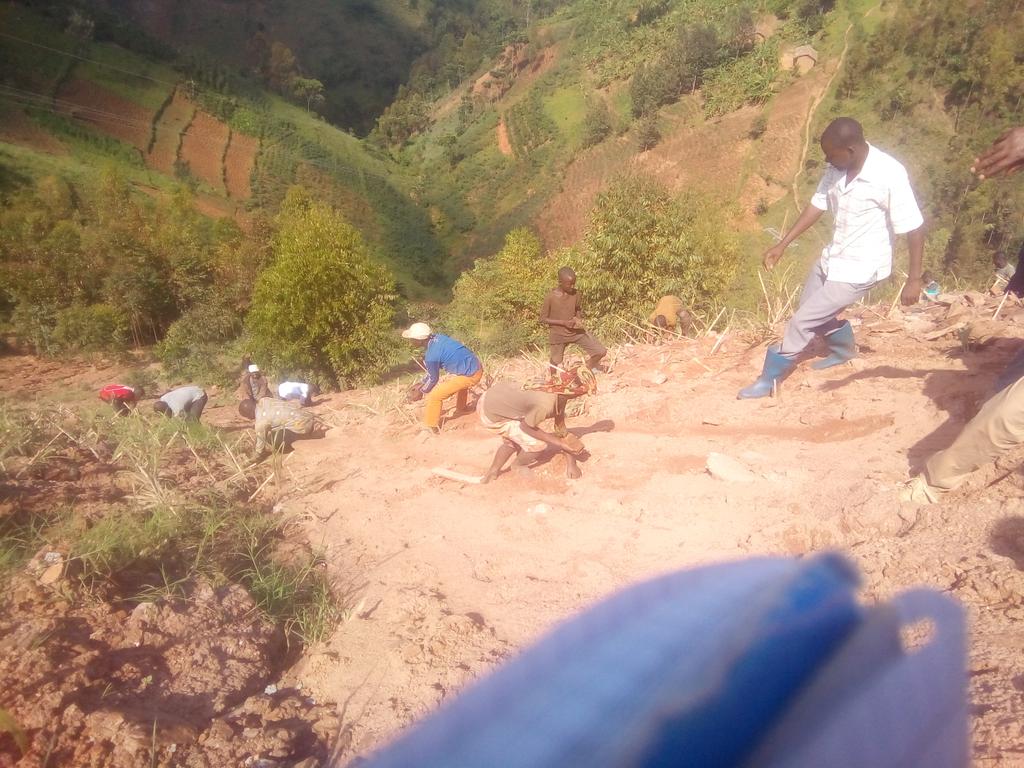 Burundi : TDC - Planter d'arbres à Ndora, en commune Bukinanyana‬,Cibitoke ( Photo : Vice Présidence , F. NTIYUMVAMABWIRE 2016 )