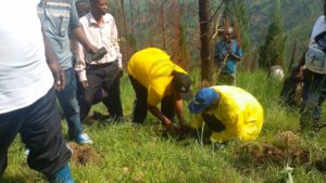 Burundi : TDC - Planter des Eucalyptus en région Eco-climatique MUMIRWA à MUBIMBI ( Photo : Gacuti Nadine 2017 )