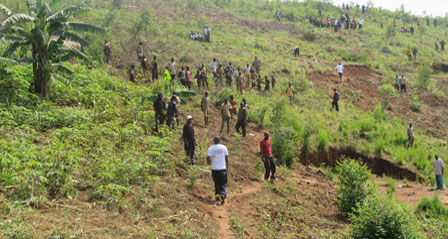 Burundi : TDC à Cibitoke - Reboisement de la colline Gitebe à Mugina ( Photo : assemblee.bi  2017 )