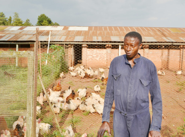 La Coopérative Mutoyi, implantée à Bugendana dans la province de Gitega ( Photo : iwacu-burundi.org )