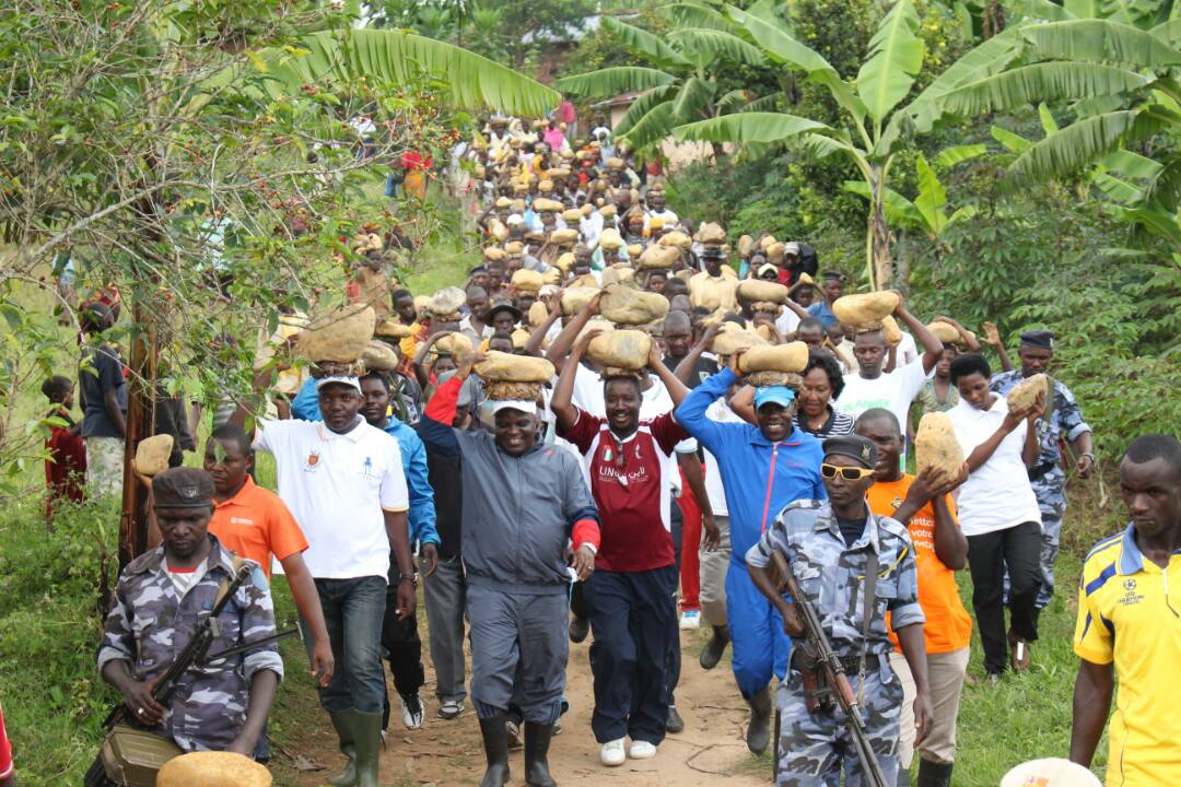 Burundi : TDC à Bubanza - Transport de briques de pierres vers l'ECOFO Rushiha à Rugazi ( Photo : ASSEMBLEE.BI 2017 )