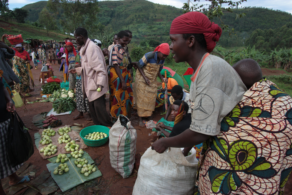 Burundi : Muramvya - 45.000 sur 60.000 agriculteurs inscrits au PNSEB ( Photo : ECHO EU 2012 )