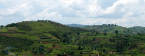 Burundi : Muramvya - 45.000 sur 60.000 agriculteurs inscrits au PNSEB