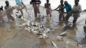 Burundi : Sensibilisation contre la pêche illégale au Nord ( Photo RTNB 2017 )