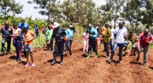 Burundi : Début officiel la saison agricole culturale A 2018 ( Photo : ppbdi.com 2017 )
