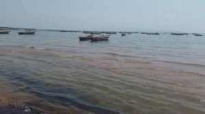 Burundi : Reprise de la pêche sur le lac Tanganyika à Rumonge ( Photo : ABP  2017 )