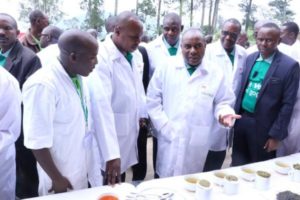 Burundi : 1ère ligne de production du Thé Vert ( Photo : rtnb 2017 )