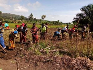 Burundi : La saison culturale B de 2018 connaîtra une pluviométrie normale  ( Photo : RTNB.BI  2018 )