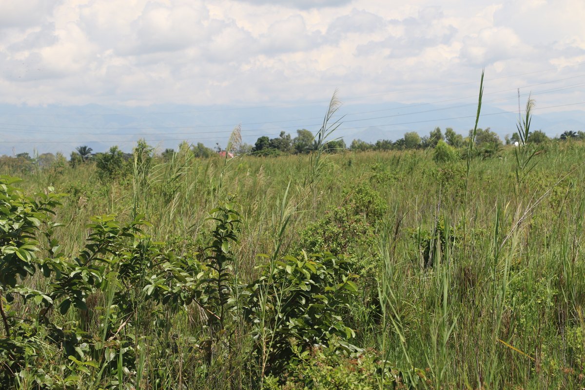 Burundi : Demande d'harmonisation du projet du site Kajaga- kigaramango ( Photo : D.C. Ininahazwe )