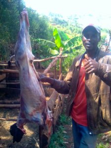  Burundi : Eleveurs, vendeurs de viande et bouchers barundi sont contents ( Photo : ikiriho  2018 )