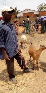 Burundi : Un éleveur - boucher, spécialisé chèvre - mouton ( Photo : ikiriho 2018 )