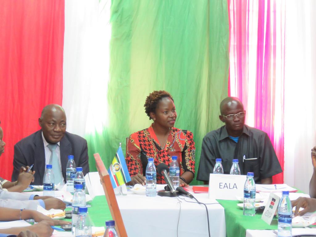 Burundi : Visite de parlementaires EALA et des pays de l'EAC   ( Photo : EALA, ASSEMBLEE.BI  2018 )
