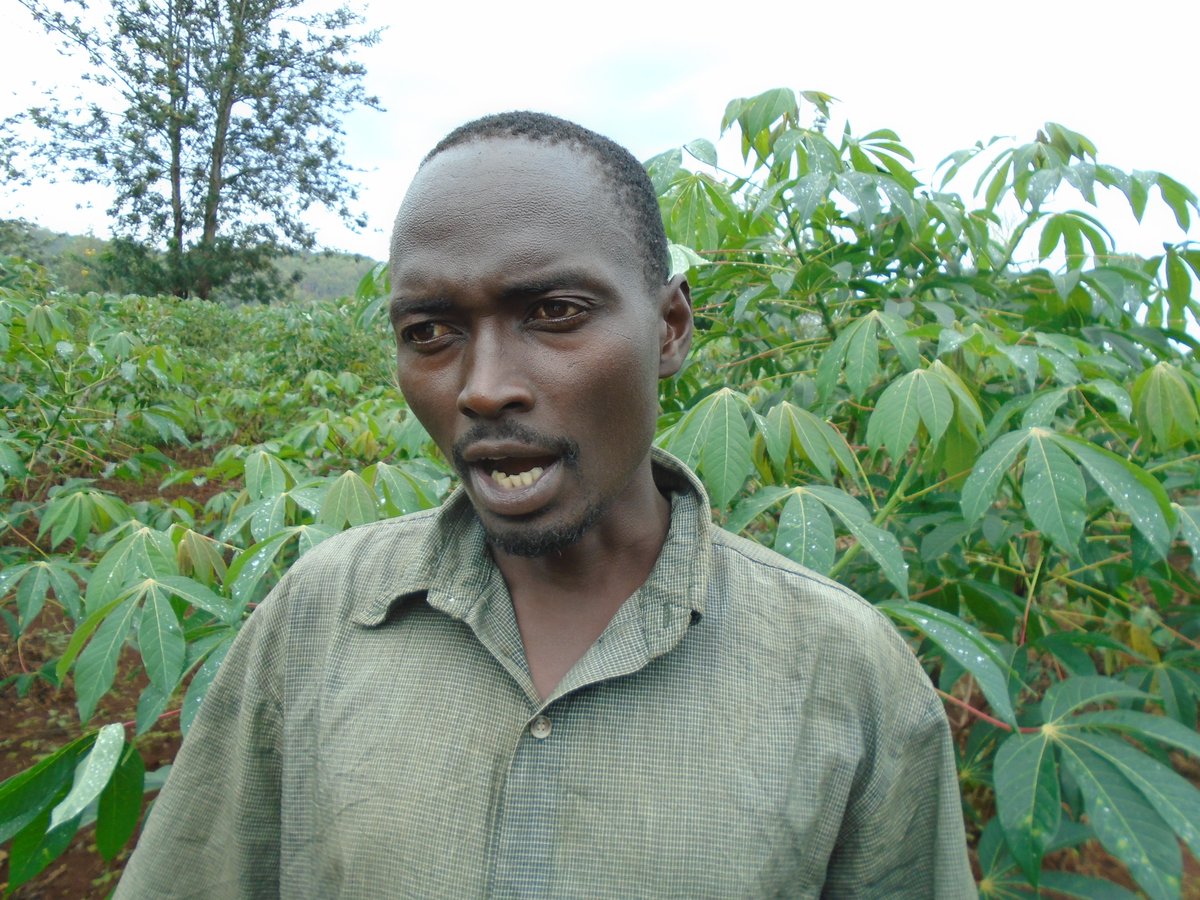 Burundi : Les agriculteurs de Kirundo augmentent leur production de manioc ( Photo : ABP 2018 )