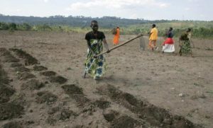 Burundi :  Les Barundi pas content de la loi encadrant les expropriations ( Photo : RTNB.BI  2018 )