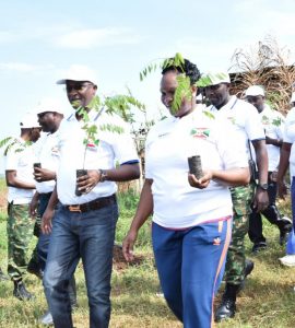 Burundi : Journée de l'arbre 2018 - Plus de 80.000 acacia siamea plantés à Kabezi ( Photo : rtnb.bi 2018 )