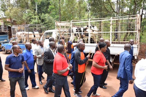 Burundi : 13 Ministres reçoivent en don une vache du Chef d'Etat ( Photo : RTNB.BI 2019 )
