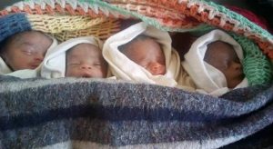Burundi : Muyinga - Décès de 3 bébés issus d'un quadruplé en commune Giteranyi ( Photo : ABP 2019 )