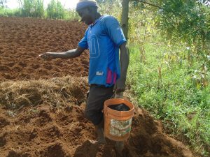 Burundi : L'ouvrier-agricole dispose de nombreuses techniques agricoles ( Photo : Burundi Eco 2019 )