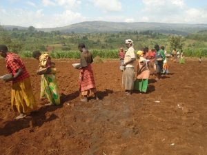 Burundi :  Les ouvrières-champêtres de Kayanza ( Photo : Burundi Eco 2019 )