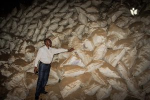 Burundi : La briqueterie ENA est une entreprise écologique de recyclage ( Photo : JIMBERE 2019 )