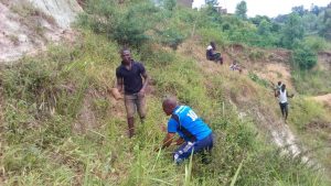 Burundi : 2000 plants de bambous plantés sur la berge de la rivière Ntahangwa  ( Photo : Menya  2019 )