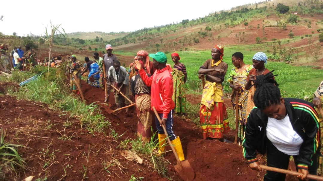 Burundi :  Des agriculteurs soucieux de leur environnement à Karusi ( Photo : ABP  2019 )