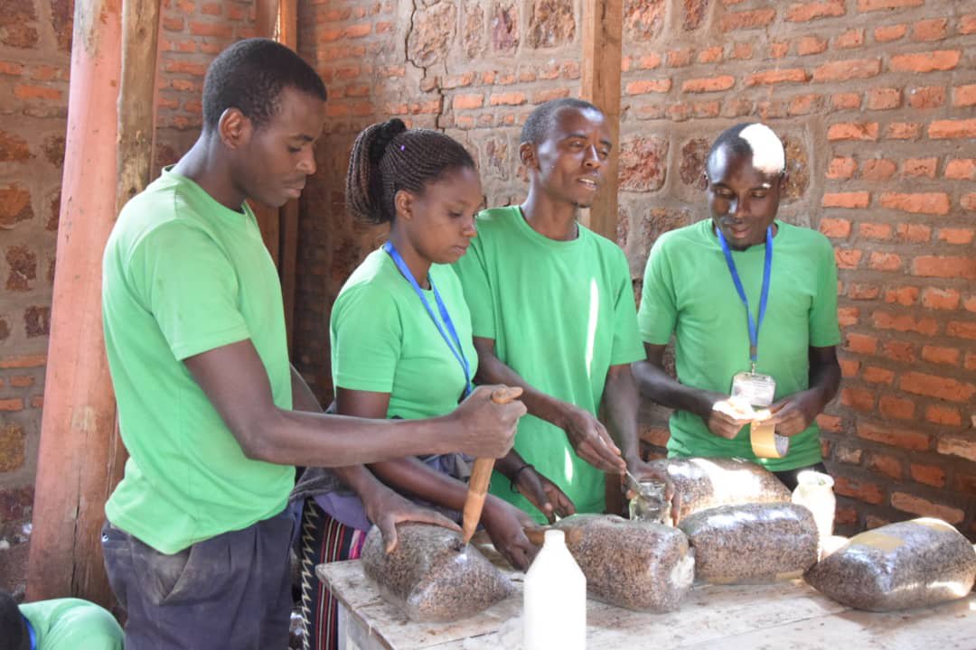 Burundi : Visite de SOVERT-AKA spécialisée Champignons à GITEGA ( Photo : RTNB.BI   2019 )