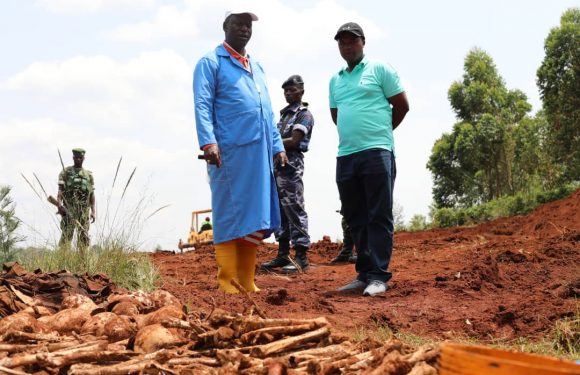 GENOCIDE 1972, DAY 2 – Les 4 fosses communes de Mashitsi à Gitega / BURUNDI