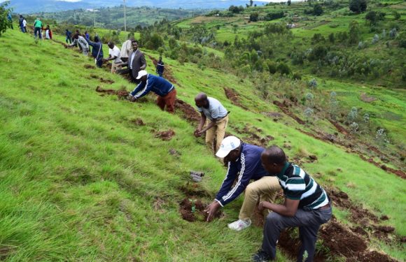 Burundi : Lancement de la semaine dédiée à l’eau, KIRINZI, MUGAMBA / BURURI