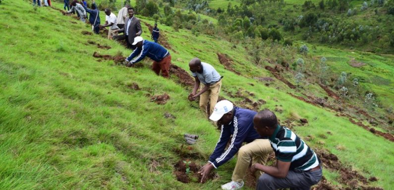 Burundi : Lancement de la semaine dédiée à l’eau, KIRINZI, MUGAMBA / BURURI