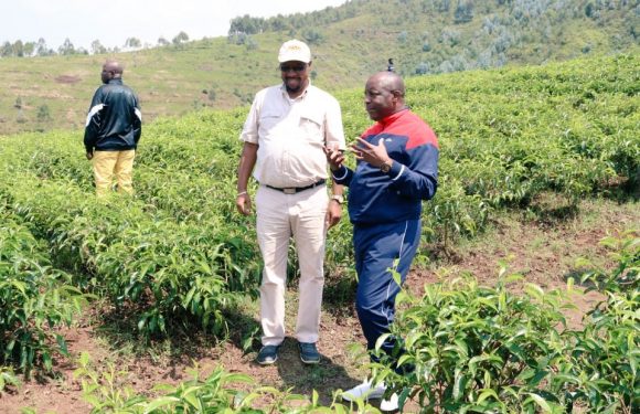Burundi : Le S.G. du CNDD-FDD rencontre un entrepreneur de MURAMVYA