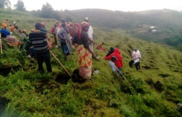 Burundi : Travaux avec les agriculteurs en zone Bugarama / MURAMVYA