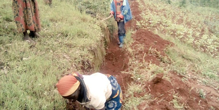Burundi : TDC – Tracer les courbes de niveau sur la colline MURAMA / MURAMVYA