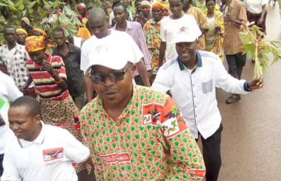 Burundi : Le CNDD-FDD KAYOKWE/MWARO pique au CNL une zone en militants